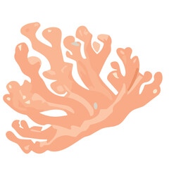 Oceanic Symphony: A Coral Canvas of Nature's Brilliance