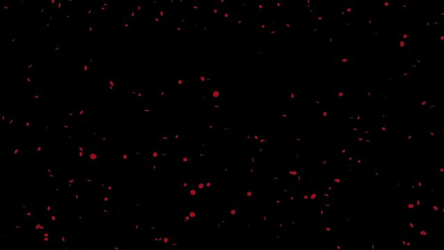 Falling small rose petals Loop isolated with an alpha channel