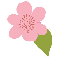 Fototapeta premium Botanical Elegance: Intricate Flower Borders for Design and Decoration