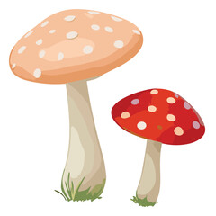 Mushrooms scattered on grass and a white surface, representing nature's autumn bounty, isolated and illustrated in vector art