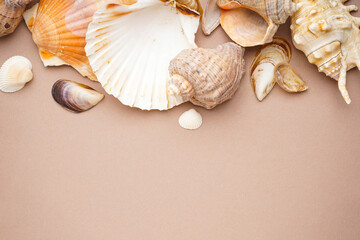 Many beautiful sea shells on beige background, space for text, top view.