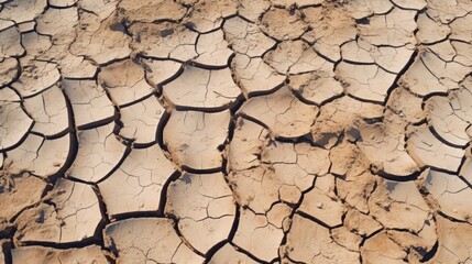 dry soil crack background 