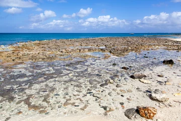 Fotobehang Seven Mile Beach, Grand Cayman Grand Cayman Island Seven Mile Beach Rocky Shore