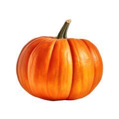Pumpkin isolated on transparent background.