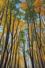 trees in the autumn