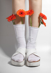 Flowers gerber in white female Socks