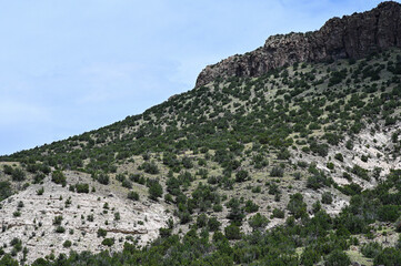Naklejka premium New Mexico Mountain View