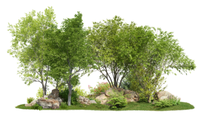 Group of trees among the rocks. Cutout trees isolated on transparent background. Landscape of green deciduous in summer. Forest scape for landscaping or architectural visualisation