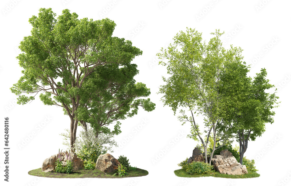 Fototapete group of trees among the rocks. cutout trees isolated on transparent background. landscape of green 