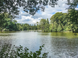 Bagno Nature Park in Germany. Lake in the park, forest