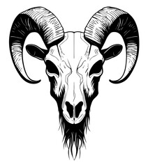 Goat skull. Vector graphic illustration