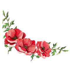 Poppy watercolor frame tattoo flower red plant hand drawn on a transparent background