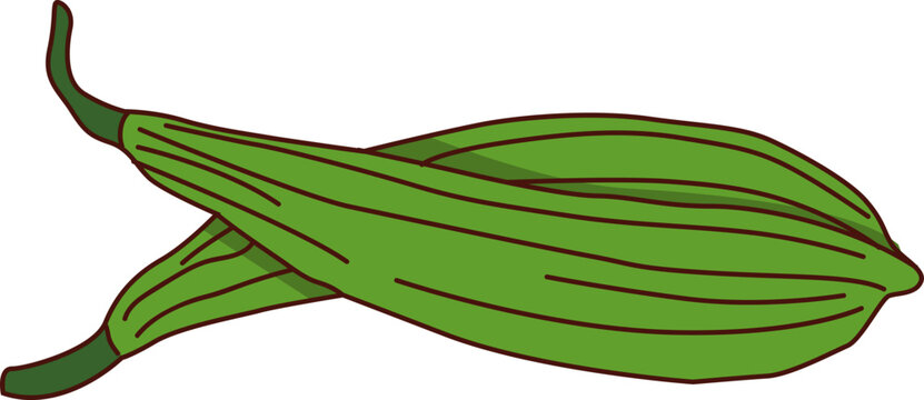 oyong