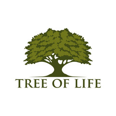 Fototapeta premium Tree of Life Oak Banyan Maple logo design