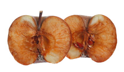 Rotten, mold organic red apple isolated on white, clipping path