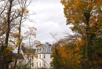 Trees With Autumn Leaves and Mansion