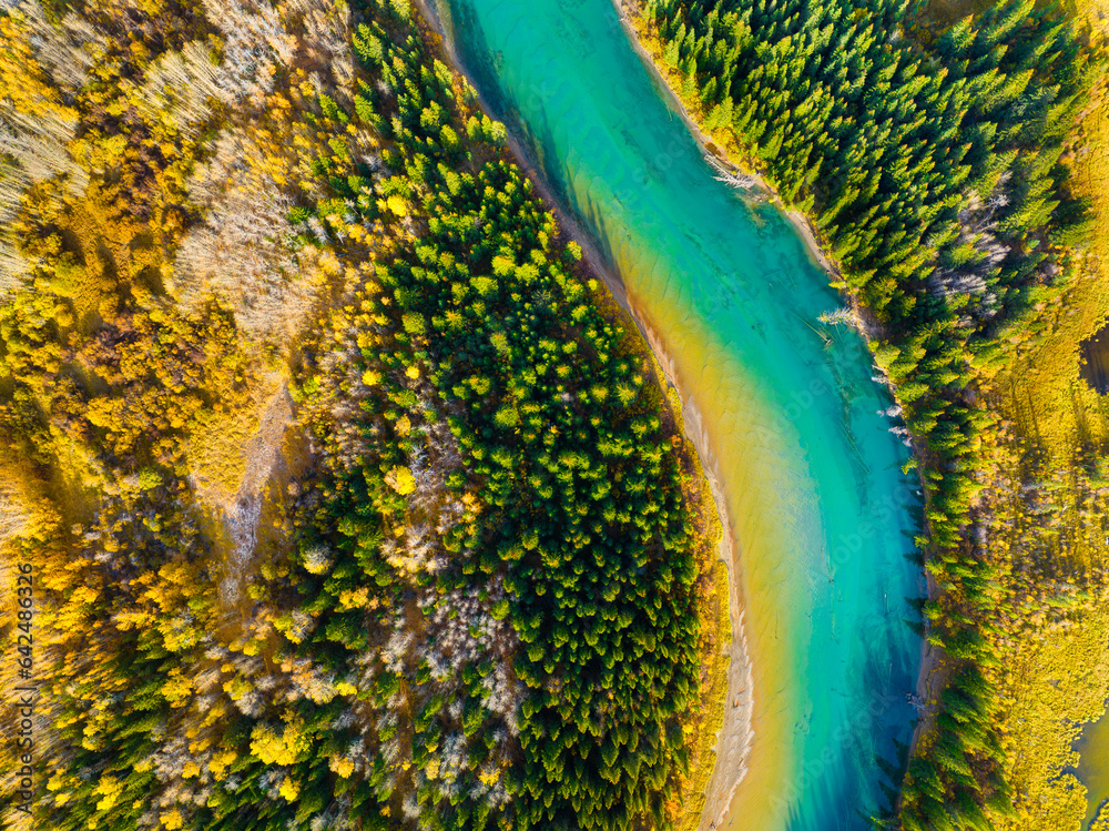 Wall mural fall landscape. a drone view of the river in the woods. an aerial view of an autumn forest. winding 