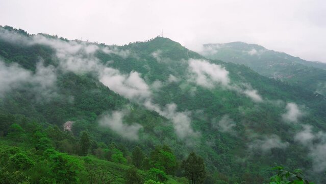 timelapse of clouds and fog coming from hills with green tea garden estates in Darjeeling showing the famous tourist spot in India