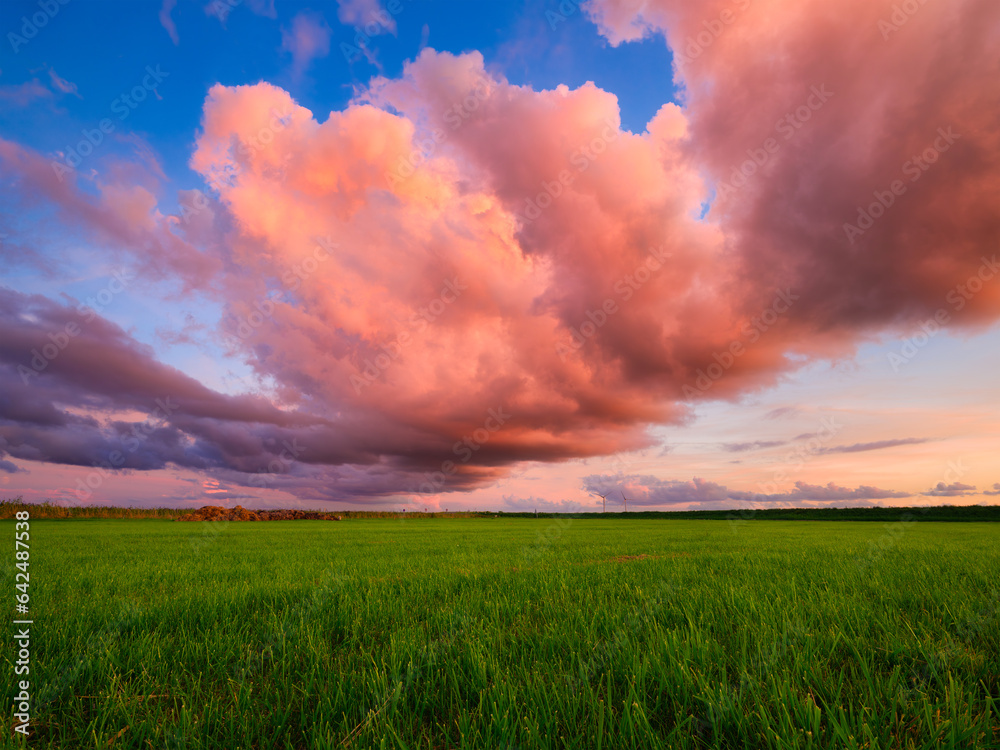 Wall mural natural landscape during sunset. huge pink cloud and blue sky. field and meadow. huge cloud in the s