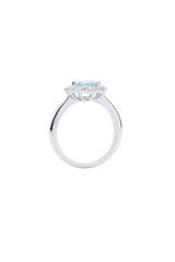 Metal Ring with Topaz and Diamonds stone including clipping path