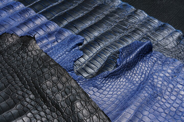 Black, indigo and deep blue pieces of natural crocodile skin on the tailor's desk