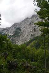 Logarska dolina mountains in Slovenia © danieldefotograaf