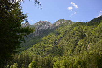 Robanov kot valley in Slovenia © danieldefotograaf