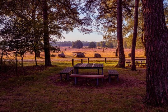 Pause in der Heide