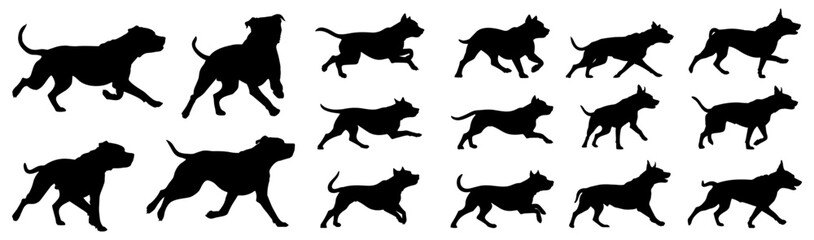 set of silhouettes of pitbull running pose. isolated on a transparent background. eps 10