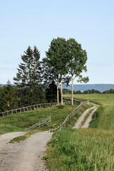 Fototapeta premium In the cultural landscape of Toten, Norway.