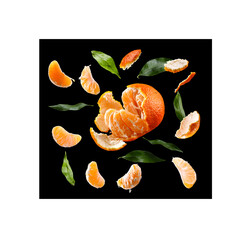 orange fruit on a white background