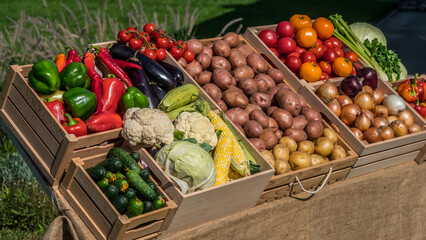 Neat stall with seasonal vegetables in wooden crates