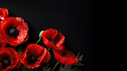 Red poppies on black background. Remembrance Day, Armistice Day symbol