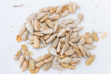 peeled sunflower seed on white background