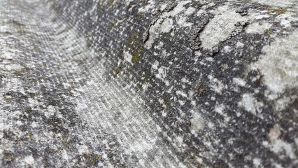 Slate. Old dirty slate. Gloomy old vintage slate background