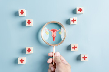 Checkup ovarian uterus reproductive system with plus sign in hospital, women's health, PCOS, ovary cancer treatment and examine, Healthy feminine concept. - obrazy, fototapety, plakaty