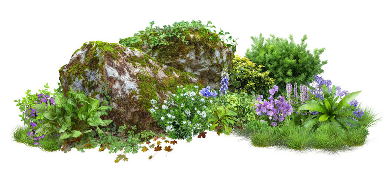 Fototapeta Cutout rock surrounded by flowers. Garden design isolated on transparent background. Flowering shrub and green plants for landscaping. Decorative shrub and flower bed