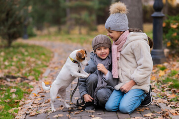 Fototapeta premium Caucasian boy and girl posing sitting on sidewalk with jack russell terrier dog in park in autumn.
