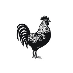 Chicken vector illustration in linocut gravure style