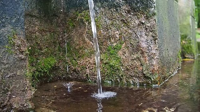 Banja Koviljaca, Serbia, Guchevo, Loznica. Spring Three sources. Healing mineral natural water flowing from Mount Guchevo. Moss and lichens on the rock. Water drops. Slow motion