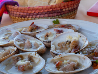 Chocolate Clams in Loreto Mexico