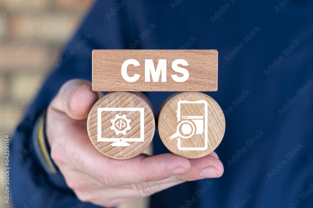 Wall mural developer holding wooden blocks with abbreviation: cms. cms content management system concept. websi