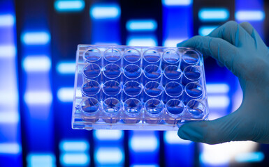 biology medicine and medical laboratory photo and cell culturing multi well plate and pipette safety cabinet