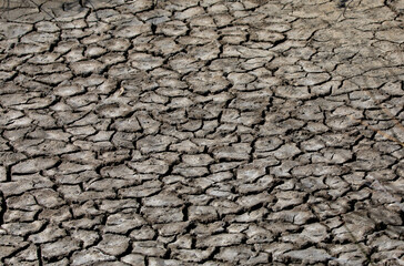 ausgetrockneter Boden eines ehemaligen Feuchtgebiet im Zuge des Klimawandels 