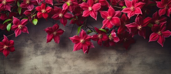 Floral backdrop featuring red clematis flowers ideal for a Mother s Day card