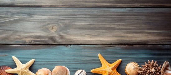 Sea animals including starfish on a wooden backdrop