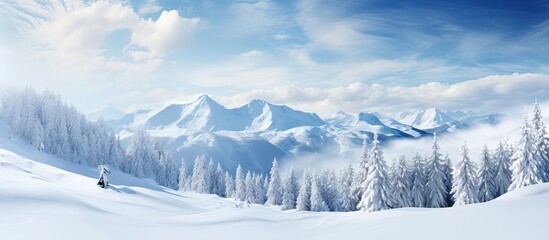Snow and clouds cover the peak of a mountain in a harsh winter landscape with spruce trees on the slopes - Powered by Adobe