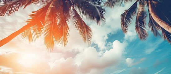 Vintage filtered tropical palm tree with sunshine in blue sky and abstract clouds as background Summer vacation and adventure in nature concept