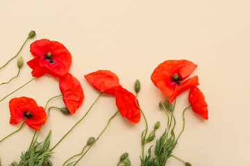 Composition with beautiful poppy flowers on color background, closeup. Remembrance Day