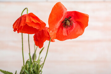 Naklejka premium Beautiful poppy flowers on light wooden background, closeup. Remembrance Day